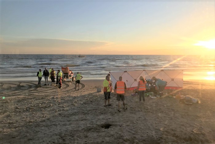 Meerdere zwemmers in problemen bij Egmond