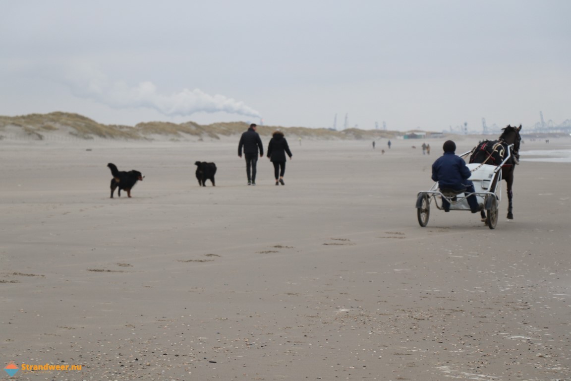 Wisselend weer voor vrijdag 11 februari