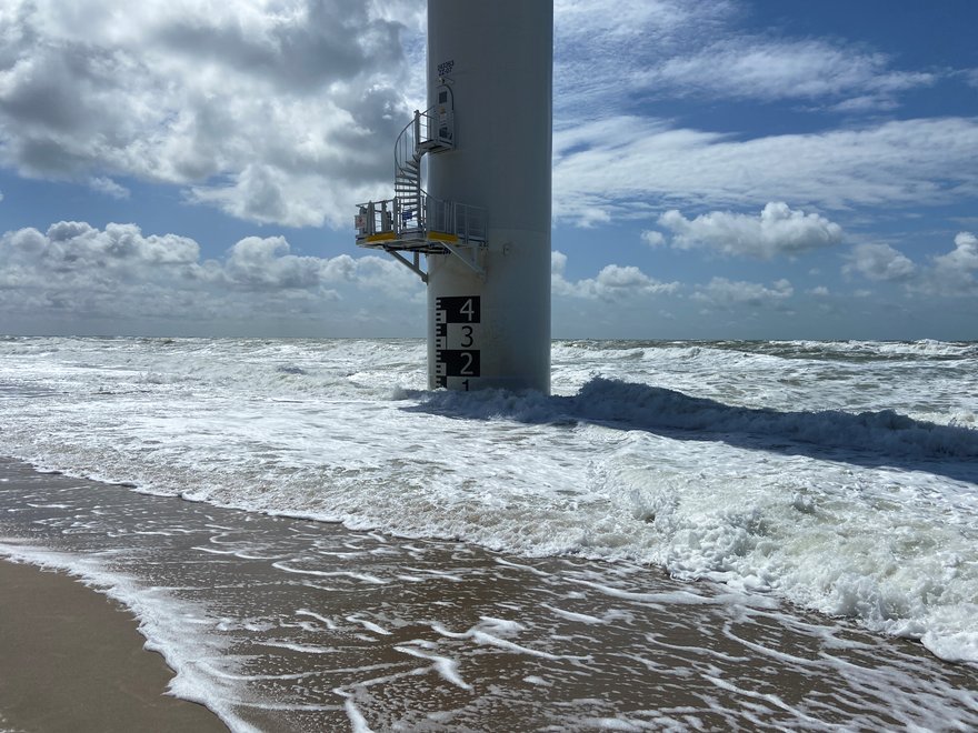 Fossiele vondsten langs kust Tweede Maasvlakte