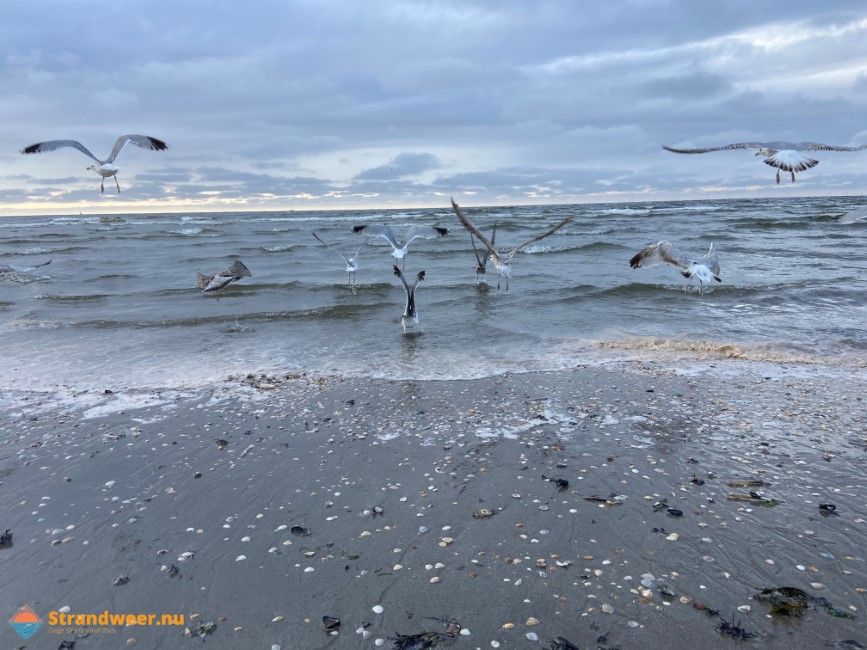 Het strandweer voor komende week