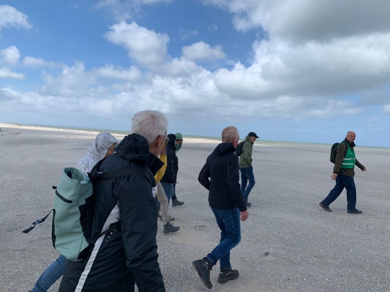 Excursie schelpen en aanspoelsels