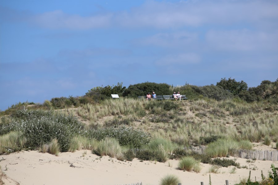 Meer bankjes bij Westlandse duinen