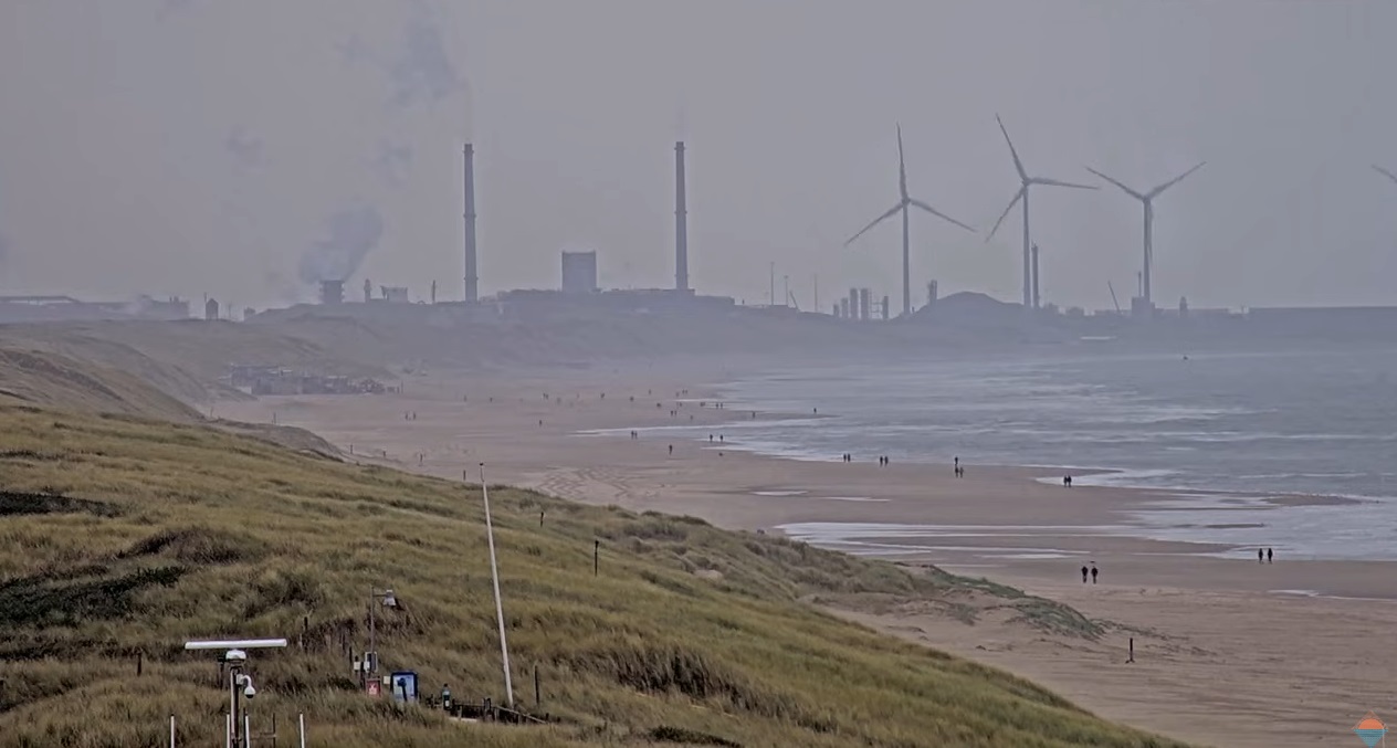 Duinversterking en natuurherstel in duinen Castricum