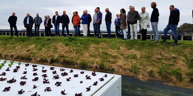 Veel interesse voor kweek van krab en sla in de Wieringermeer