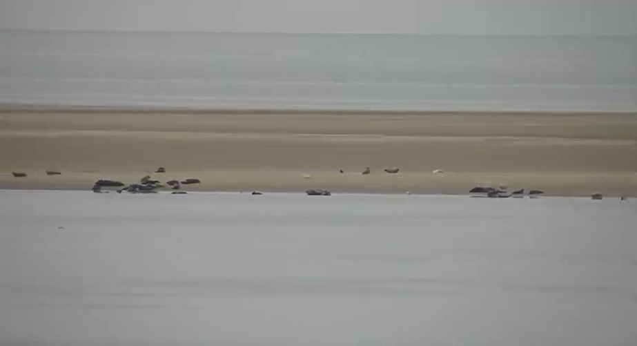 Het strandweer voor vrijdag 17 juli