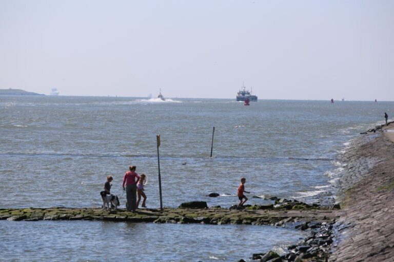 Beleid rond waterveiligheid, in 2025 aan de slag met aandachtspunten